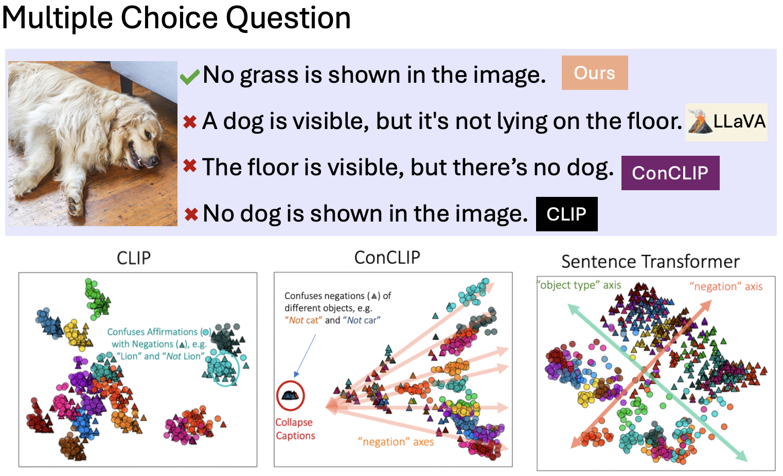 Vision Language Models